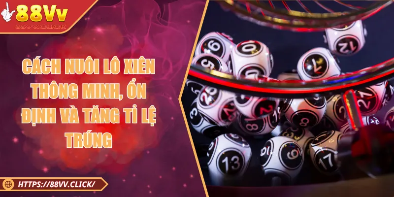 Cách Nuôi Lô Xiên Đơn Giản, Ổn Định Và Dễ Chiến Thắng 2025 1 Cách Nuôi Lô Xiên Thông Minh, Ổn Định Và Tăng Tỉ Lệ Trúng