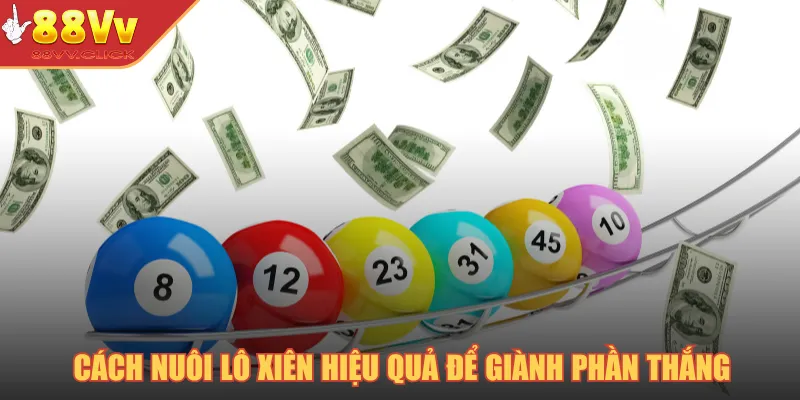 Cách Nuôi Lô Xiên Đơn Giản, Ổn Định Và Dễ Chiến Thắng 2025 2 Cách nuôi lô xiên hiệu quả để giành phần thắng