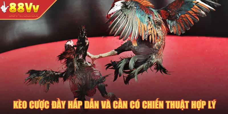 Kèo cược đầy hấp dẫn và cần có chiến thuật hợp lý