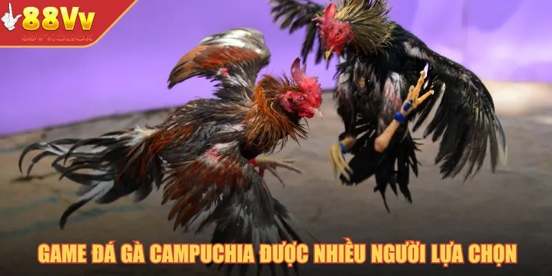 Đá Gà Campuchia – Cá Cược Chọi Kê Đẳng Cấp Trong Năm 2025 2 Game đá gà Campuchia được nhiều người lựa chọn