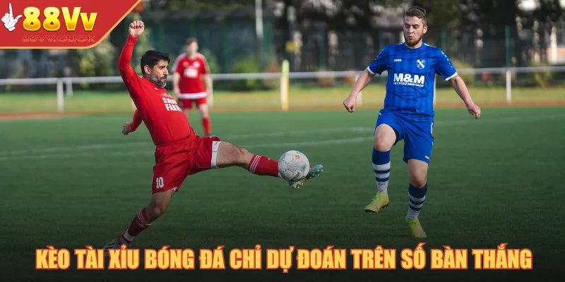Kèo tài xỉu bóng đá chỉ dự đoán trên số bàn thắng