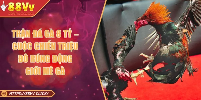 Trận Đá Gà 8 Tỷ – Kỷ Lục Quốc Tế Trong Bộ Môn Chọi Gà 2025 1 Trận Đá Gà 8 Tỷ – Cuộc Chiến Triệu Đô Rúng Động Giới Mê Gà