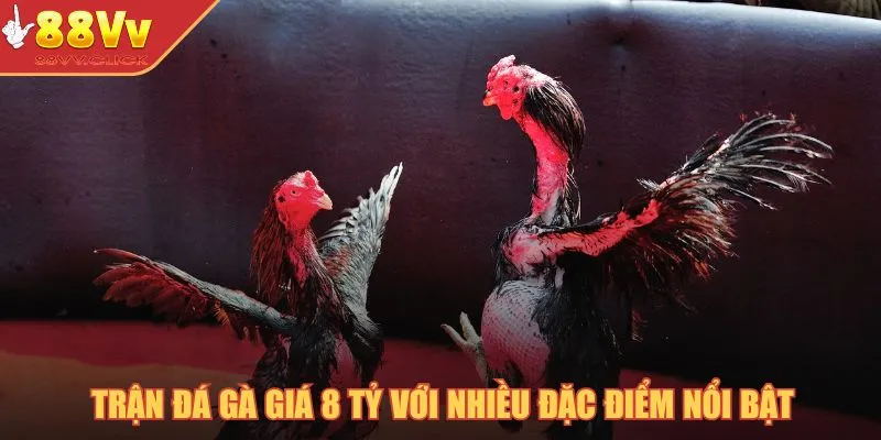 Trận Đá Gà 8 Tỷ – Kỷ Lục Quốc Tế Trong Bộ Môn Chọi Gà 2025 3 Trận đá gà giá 8 tỷ với nhiều đặc điểm nổi bật
