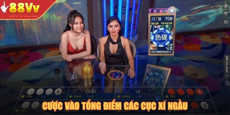 Xóc Đĩa Online - Trò Chơi Nổi Trội Tại Sân Chơi Casino 88VV 3 Cược vào tổng điểm các cục xí ngầu